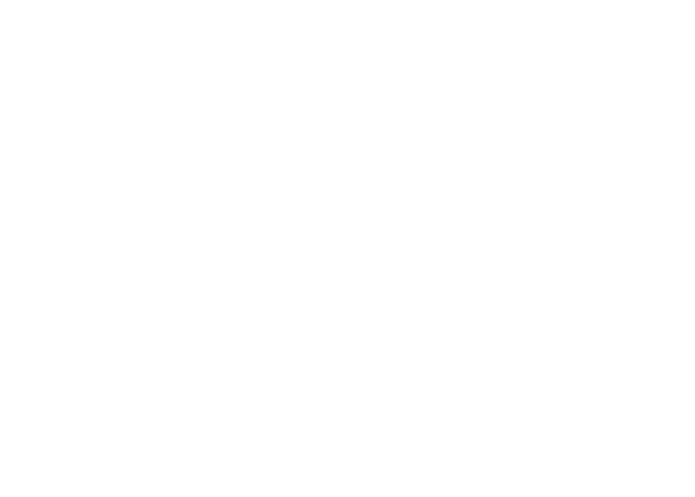 Ferris Wheel graphic